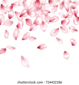 Japanese cherry flower parts blossom petals flying vector elements isolated on white background illustration. Flying flower elements wedding invitation pink petals pattern, valentine background vector