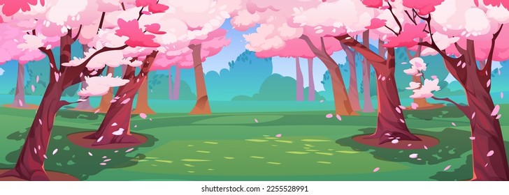 Japanese cherry garden with sakura blossom. Spring landscape of park with green grass glade and chinese cherry trees with falling pink flower petals, vector cartoon illustration