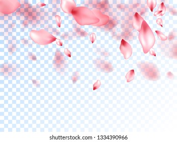 Japanese cherry petals on transparent background. Blooming flower parts scatter. Pink japanese cherry blossom petals flying vector. Natural cosmetics background. Valentine card backdrop.