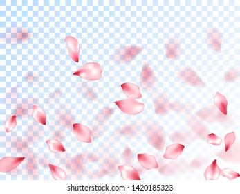 Japanese cherry petals on transparent background. Abstract spa showering backgound. Pink japanese cherry blossom petals flying vector. Anniversary elegant decor. Spring tree bloom flower elements.