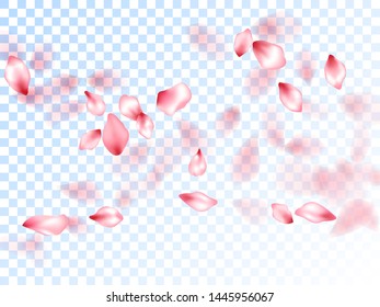 Japanese cherry petals on transparent background. Romantic wedding decoration. Pink japanese cherry blossom petals flying vector. Spring tree bloom flower elements. Abstract spa showering backgound.