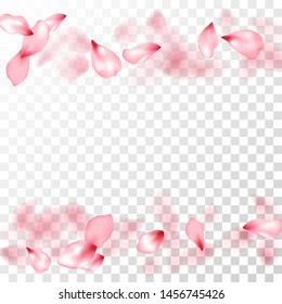 Japanese cherry petals on transparent background. Invitation card background. Pink japanese cherry blossom petals flying vector. Valentine card backdrop. Spring tree bloom flower elements.