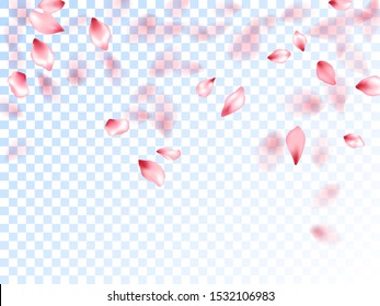 Japanese cherry petals on transparent background. Spring tree bloom flower elements. Pink japanese cherry blossom petals flying vector. Romantic wedding decoration. Abstract spa showering backgound.