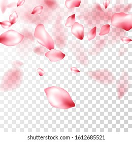 Japanese cherry petals on transparent background. Spring tree blossom flower parts. Pink japanese cherry blossom petals flying vector. Anniversary elegant decor. Invitation card background.