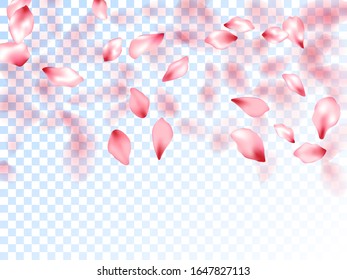 Japanese cherry petals on transparent background. Spring tree blossom flower parts. Pink japanese cherry blossom petals flying vector. Natural cosmetics background. Valentine card backdrop.