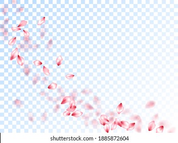 Japanese cherry petals on transparent background. Romantic wedding decoration. Pink japanese cherry blossom petals flying vector. Abstract spa showering backgound. Blooming flower parts scatter.