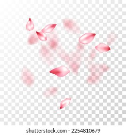 Japanese cherry petals on transparent background. Natural cosmetics background. Pink japanese cherry blossom petals flying vector. Beautiful floral wallpaper. Spring tree blossom flower parts.