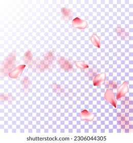Japanese cherry petals on transparent background. Natural cosmetics background. Pink japanese cherry blossom petals flying vector. Spring tree bloom flower elements. Beautiful floral wallpaper.