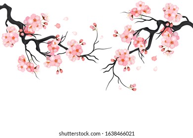 Japanese cherry sakura tree Isolated background. Branch with blossom flowers. Vector