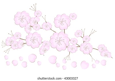 Japanese cherry tree