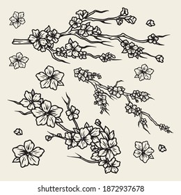 Concepto de ramas de cerezo japonesas con flores de flor en ilustraciones vectoriales aisladas de estilo vintage