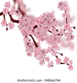 Japanese cherry tree. The fluffy pink cherry blossom branch. Isolated on white background with a blurred background. Vector illustration
