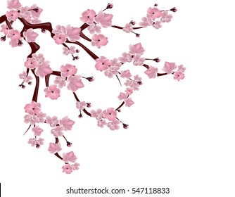 Japanese cherry tree. Spreading branch of pink cherry blossom. Isolated on white background. Vector illustration