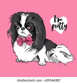 Japanese Chin dog with a bow on a pink background. Vector illustration.