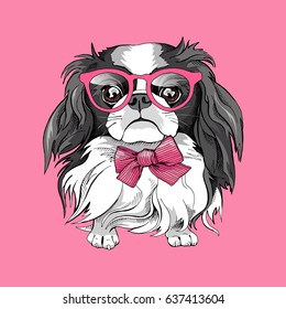 Japanese Chin dog in a glasses and tie on a pink background. Vector illustration.