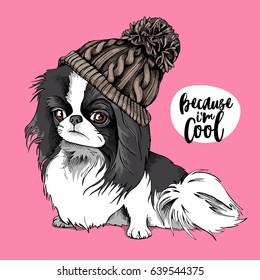 Japanese Chin dog in a knitted hipster hat on a pink background. Vector illustration.