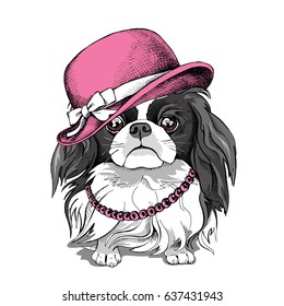 Japanese Chin dog in a pink Ladies hat and in a Beads. Vector illustration.