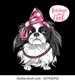 Japanese Chin dog in a pink polka dot Headband and in a Beads. Vector illustration.