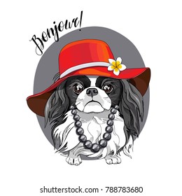 Japanese Chin Dog in a red broad-brimmed hat and in a large beads. Vector illustration.