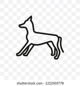 Japanese Chin dog vector linear icon isolated on transparent background, Japanese Chin dog transparency concept can be used for web and mobile