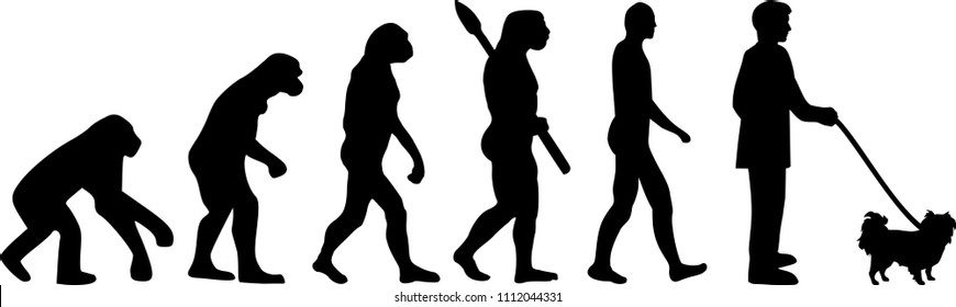 Japanese Chin evolution development with silhouette 