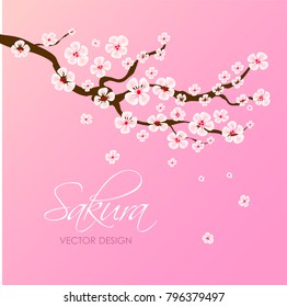 Japanese or chinese sakura. 