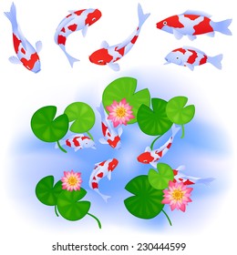 Japanese or Chinese themes. Carps Koi swim in clear pond with water rose lotus and leaves. Set of five fishes. Up view. Vector color cartoon. 