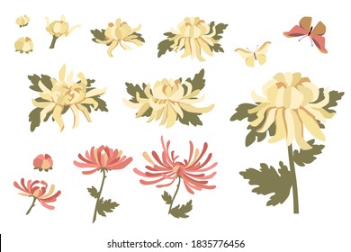 Japanese chrysanthemums and butterflys set. Vector flower design. Simple flat minimalistic illustration isolated on white background.