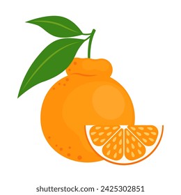 Japanese citrus Dekopon whole fruit and slice isolated on white background. Sumo citrus icon. Jeju Island Hallabong orange. Vector flat illustration.