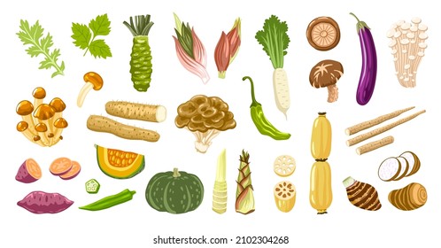 Japanese Cooking Ingredients, Vegetables. Enoki And Nameko Mushrooms, Batat, Wasabi Root, Bamboo Shoots, Daikon And Myoga Ginger. Asian Food, Oriental Cuisine. Flat Hand Drawn Vector Illustration.