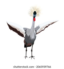 Japanese crane bird isolate on a white background.