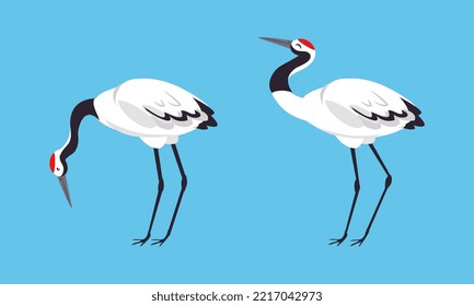 Japanese crane birds. White stork, egret, heron standing and dancing vector illustration