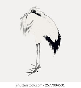 Japanese crane, vector bird animal element. Vintage bird animal art drawing illustration, old painting art print vector. Isolated vintage animal illustration.