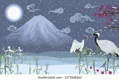  Japanese Cranes in winter at night against the background of a mountain