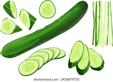 Conjunto de ilustración vectorial dibujado a mano de pepino japonés, pepino aislado, en rodajas, picado, trozos cortados