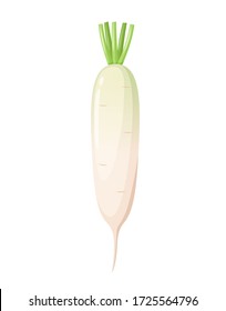 Japanese daikon radish, on a white background, vegetable harvest, healthy food. Vector icon.