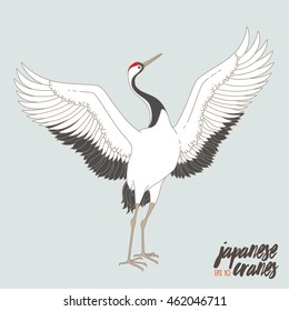 Japanese dancing crane. Vector illustration with traditional motives.