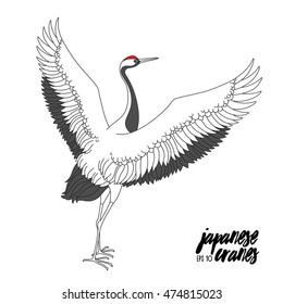 Japanese dancing crane. Vector illustration with traditional motives.