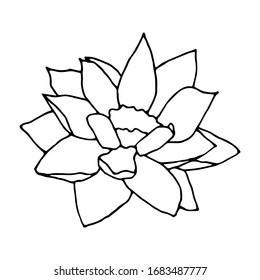 Japanese decorative carp in doodle style