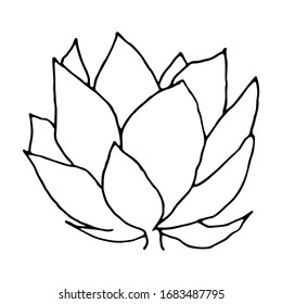 Japanese decorative carp in doodle style