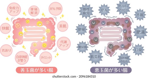 In Japanese, it is described as "good sleep", "anti-aging", "diet", "beautiful skin", "good bacteria", "constipation", "fatigue", "allergy", "insomnia", "obesity", "rough skin", and "bad bacteria".