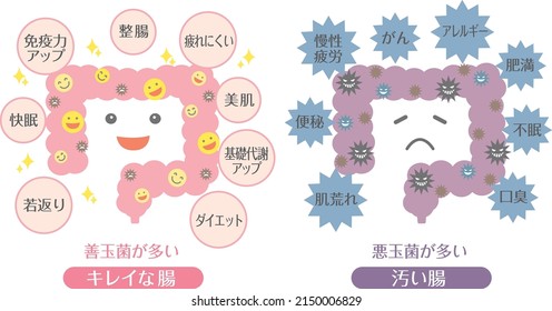 In Japanese, it is described as "good sleep", "anti-aging", "diet", "beautiful skin", "good bacteria", "constipation", "fatigue", "allergy", "insomnia", "obesity", "rough skin", and "bad bacteria".