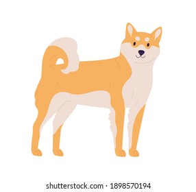 19,748 Japanese shiba Images, Stock Photos & Vectors | Shutterstock