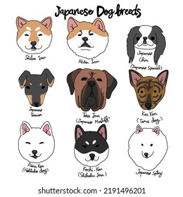 Japanese Dog Breed Cartoon Chart Vector Illustration