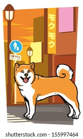 japanese dog on the city street