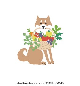 Japanese dog, Shiba Inu, basket with vegetables and fruits, Hand drawn vector illustration.