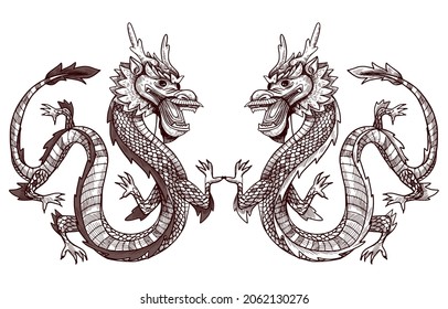 Japanese dragon illustration. This is also Chinese dragon vector tatou art. Vector graphics for Tato or t-shirt prints and other uses.
