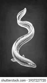 Japanese eel. Chalk sketch of fish on blackboard background. Hand drawn vector illustration. Retro style.