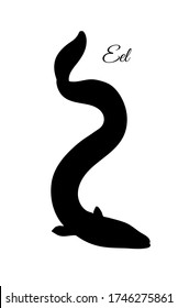 Japanese eel. Fish silhouette isolated on white background.