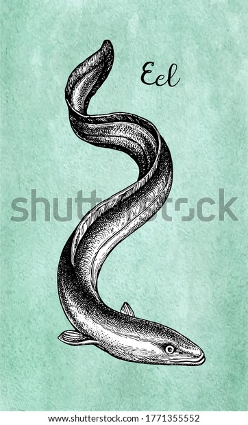 Japanese eel. Ink sketch of\
fish on old paper background. Hand drawn vector illustration. Retro\
style.